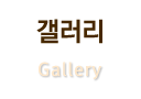 갤러리